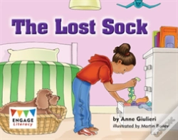 Capa do artigo The Lost Sock