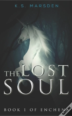 Capa do artigo The Lost Soul