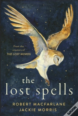 Capa do artigo The Lost Spells