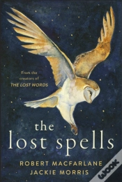 Capa do artigo The Lost Spells