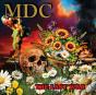 The Lost War - CD - Preview