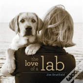 The Love Of A Lab