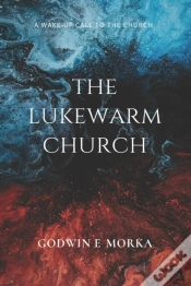 Capa do artigo The Lukewarm Church