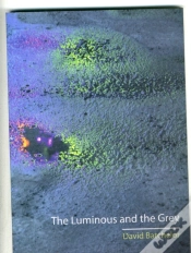 Capa do artigo The Luminous And The Grey