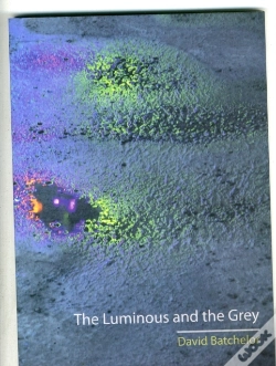 Capa do artigo The Luminous And The Grey