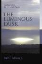 The Luminous Dusk - Preview
