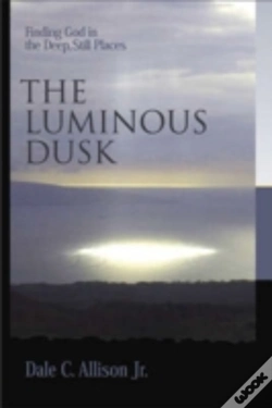 Capa do artigo The Luminous Dusk