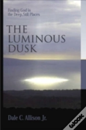 Capa do artigo The Luminous Dusk