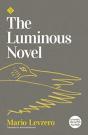 The Luminous Novel - Preview