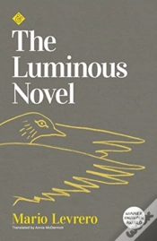 Capa do artigo The Luminous Novel