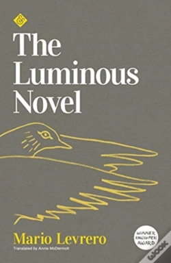 Capa do artigo The Luminous Novel