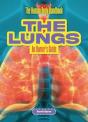 The Lungs - Preview