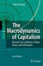 The Macrodynamics Of Capitalism - Preview