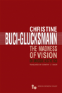 The Madness Of Vision - Preview