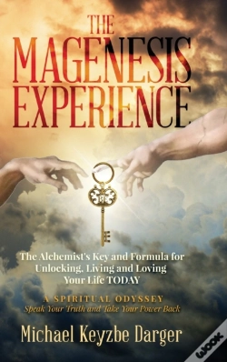 Capa do artigo The Magenesis Experience