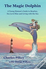 Capa do artigo The Magic Dolphin