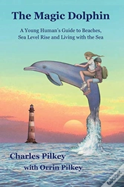 Capa do artigo The Magic Dolphin