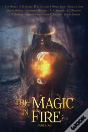 Capa do artigo The Magic In Fire
