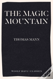 Capa do artigo The Magic Mountain