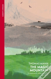 Capa do artigo The Magic Mountain