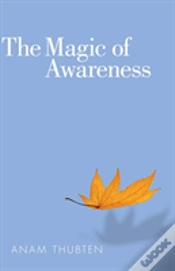 Capa do artigo The Magic Of Awareness