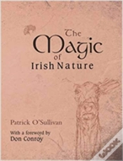 Capa do artigo The Magic Of Irish Nature