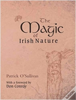 Capa do artigo The Magic Of Irish Nature