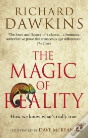 Capa do artigo The Magic Of Reality