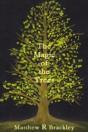 The Magic Of The Trees - Preview