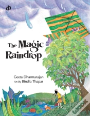 Capa do artigo The Magic Raindrop