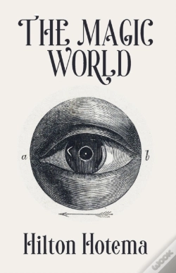 Capa do artigo The Magic World