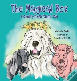 Capa do artigo The Magical Box