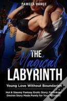 The Magical Labyrinth