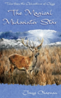 The Magical Midwinter Star - Preview