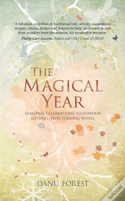 Capa do artigo The Magical Year