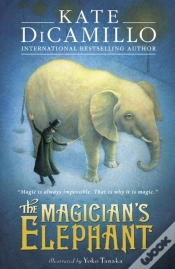 Capa do artigo The Magician