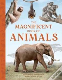The Magnificent Book Of Animals