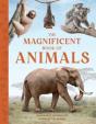 The Magnificent Book Of Animals - Preview