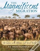 The Magnificent Migration