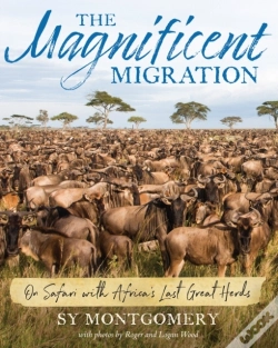 Capa do artigo The Magnificent Migration