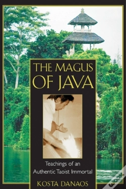 Capa do artigo The Magus Of Java