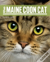 The Maine Coon Cat