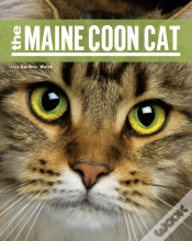 Capa do artigo The Maine Coon Cat