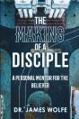 The Making Of A Disciple - Preview