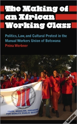 Capa do artigo The Making Of An African Working Class