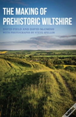 Capa do artigo The Making Of Prehistoric Wiltshire