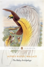 The Malay Archipelago - Preview