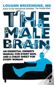 Capa do artigo The Male Brain
