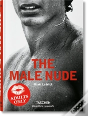 Capa do artigo The Male Nude