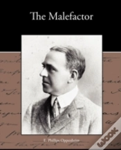 Capa do artigo The Malefactor